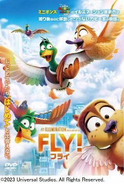2026 fly1