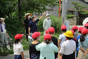 田植え1