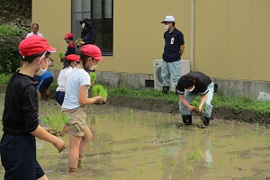 田植え2